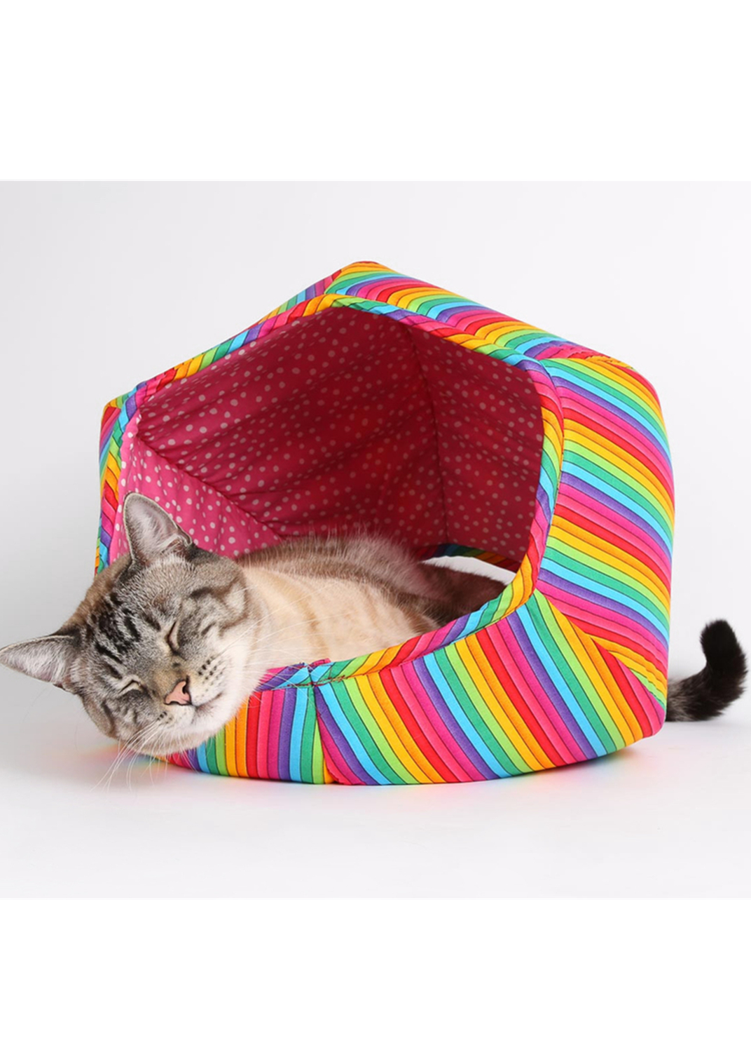 Finding Quality Pet Supplies Pet Life Here