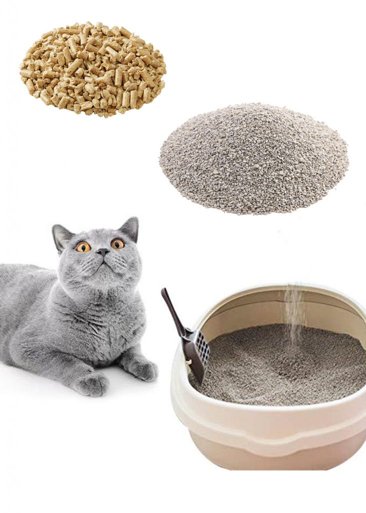 10 Best Cat Litters to Keep Foul Smells Away Pet Life Here